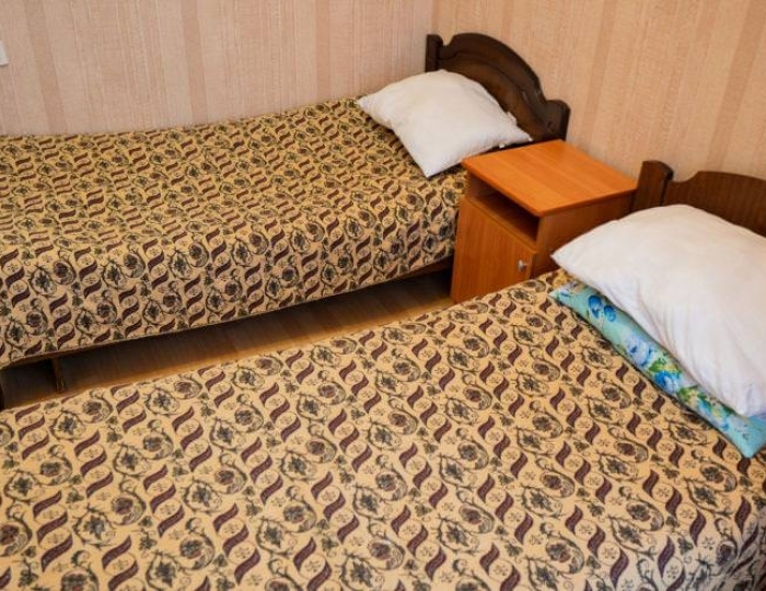 Номер стандарт с 2 односпальными кроватями - Санаторий «Лесной» Орел