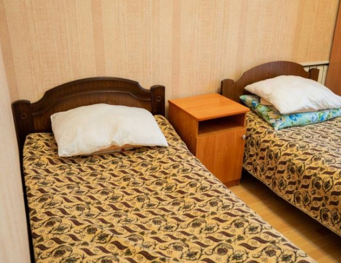 Номер стандарт с 2 односпальными кроватями - Санаторий «Лесной» Орел